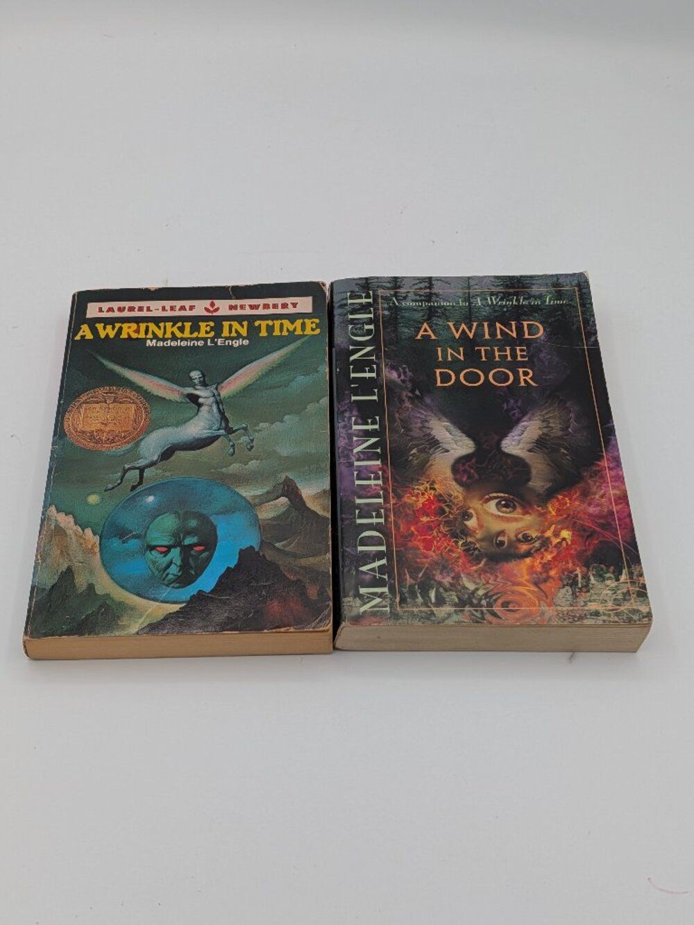 A Wrinkle in Time & A Wind in the Door Madeleine L'Engle 2 Book Paperback Lot